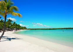 Ile Maurice : Constance Prince Maurice