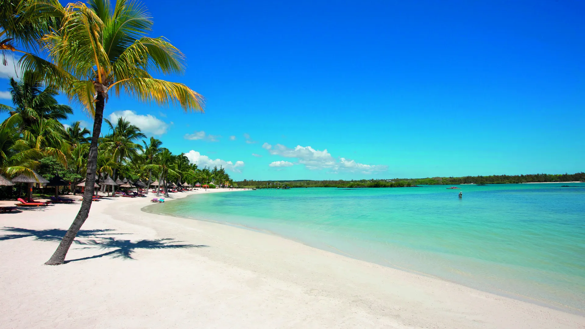Ile Maurice : Constance Prince Maurice