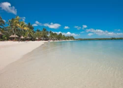 Ile Maurice : Constance Prince Maurice