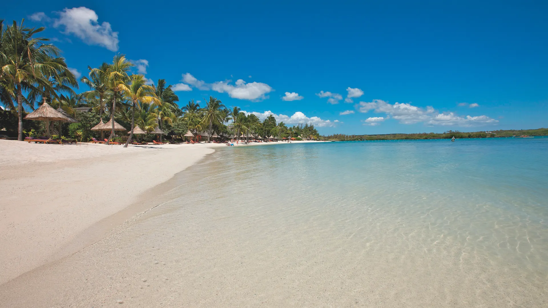 Ile Maurice : Constance Prince Maurice